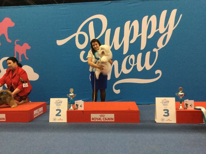 Helsinki Voittaja  2019 RYP 2