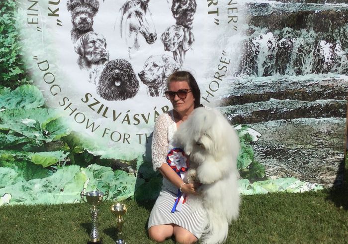 Unkarin näyttely elokuussa🎉🎉🎉